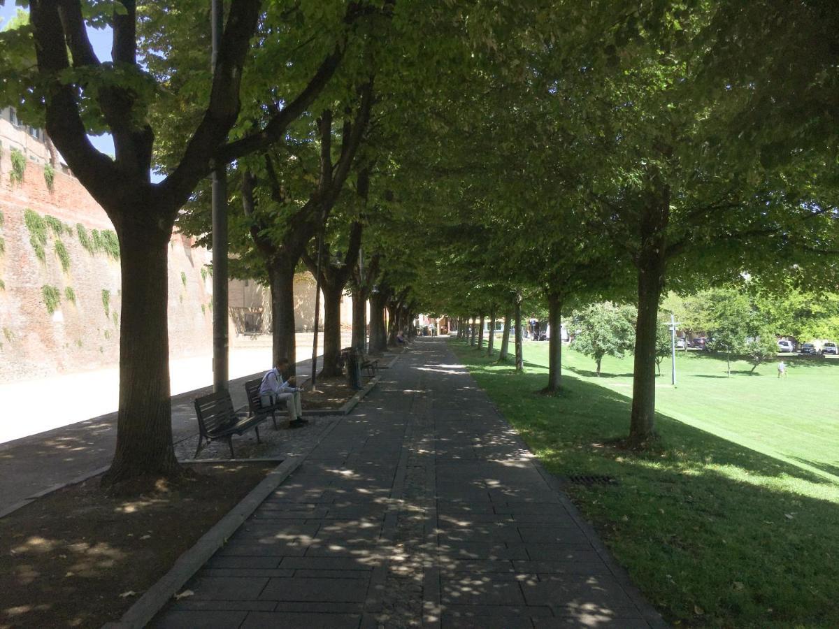 Monolocale in villa, a 300 metri dal centro SantʼArcangelo di Romagna Esterno foto