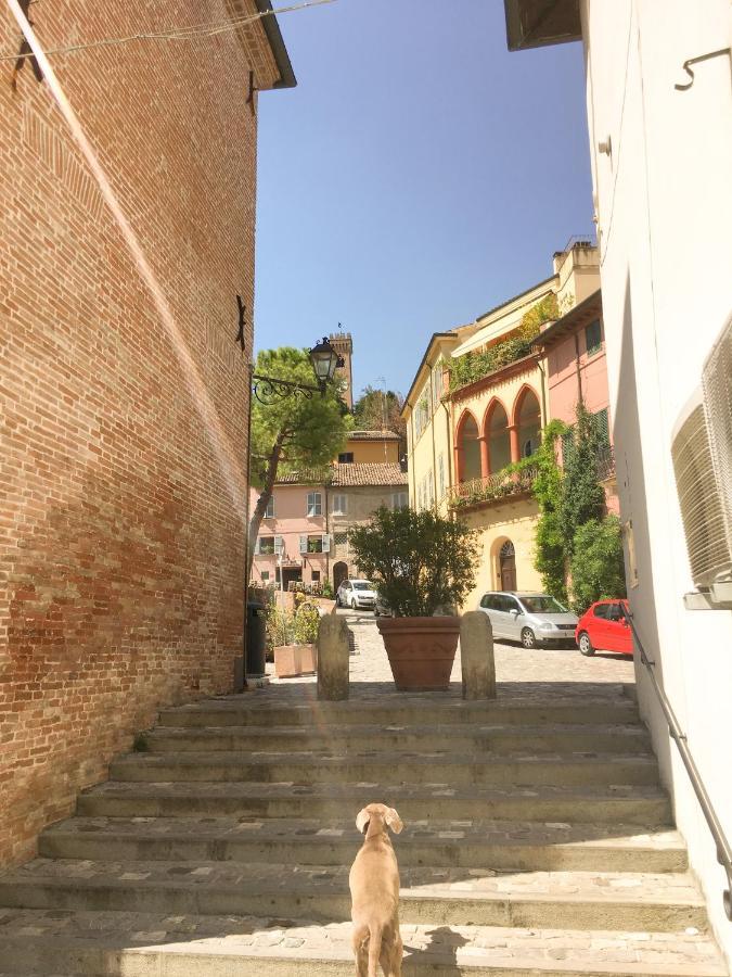 Monolocale in villa, a 300 metri dal centro SantʼArcangelo di Romagna Esterno foto
