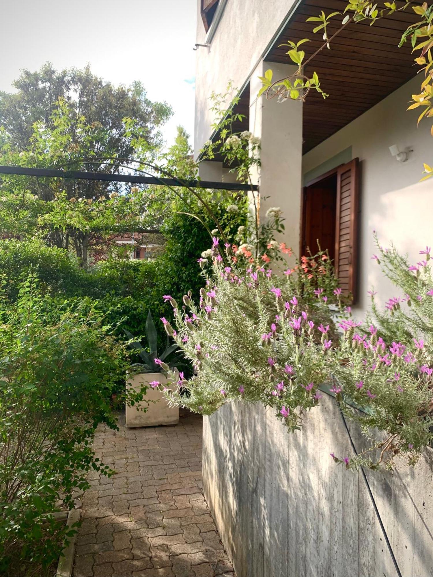 Monolocale in villa, a 300 metri dal centro SantʼArcangelo di Romagna Esterno foto